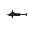 legendarycatch 2426 white marlin sil