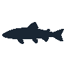 legendarycatch 2427 lake trout sil