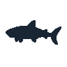 legendarycatch 2429 reef shark sil