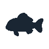 legendarycatch 2430 goby sil