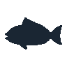 legendarycatch 2433 blue tang sil