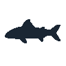legendarycatch 2434 muskellunge sil
