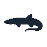 legendarycatch 2438 electric eel sil