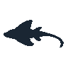 legendarycatch 2439 stingray sil