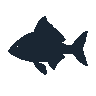 legendarycatch 2440 black drum sil