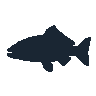 legendarycatch 2441 grouper sil