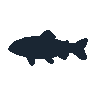 legendarycatch 2442 grass carp sil