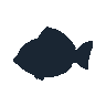 legendarycatch 2444 yellow tang sil