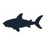 legendarycatch 2449 whitetip reef shark sil
