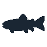 legendarycatch 2452 brown trout sil