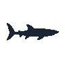 legendarycatch 2453 thresher shark sil