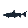 legendarycatch 2454 atlantic salmon sil