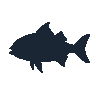 legendarycatch 2457 permit sil