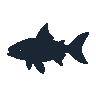 legendarycatch 2460 piranha sil