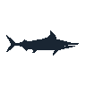 legendarycatch 2463 king mackerel sil