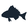 legendarycatch 2464 stonefish sil