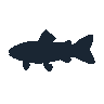 legendarycatch 2467 brook trout sil