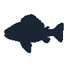 legendarycatch 2470 goliath grouper sil