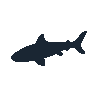 legendarycatch 2472 zebra shark sil