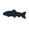 legendarycatch 2474 rainbow trout sil