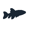 legendarycatch 2475 firefly squid sil