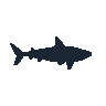 legendarycatch 2476 blue shark sil