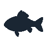 legendarycatch 2477 yellow perch sil