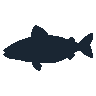 legendarycatch 2488 white perch sil