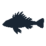 legendarycatch 2489 scorpionfish sil