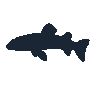 legendarycatch 2491 snakehead sil