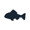 legendarycatch 2500 chromis sil