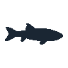 legendarycatch 2501 tiger muskie sil