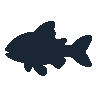 legendarycatch 2502 platy sil