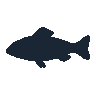 legendarycatch 2504 bullhead catfish sil