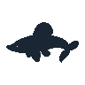 legendarycatch 2509 ribbon eel sil