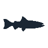legendarycatch 2513 chinook salmon sil