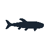 legendarycatch 2514 channel catfish sil