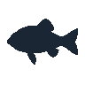 legendarycatch 2516 convict cichlid sil