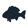 legendarycatch 2517 gag grouper sil