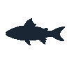 legendarycatch 2521 bonefish sil