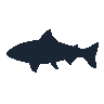 legendarycatch 2525 hatchetfish sil
