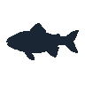 legendarycatch 2527 silver carp sil