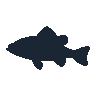 legendarycatch 2528 spotted bass sil