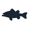 legendarycatch 2529 largemouth bass sil