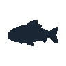 legendarycatch 2530 sergeant major sil