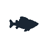legendarycatch 2531 parrotfish sil