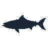 legendarycatch 2532 atlantic mackerel sil