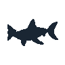 legendarycatch 2534 whale shark sil