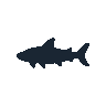legendarycatch 2535 nurse shark sil