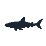 legendarycatch 2540 tiger shark sil